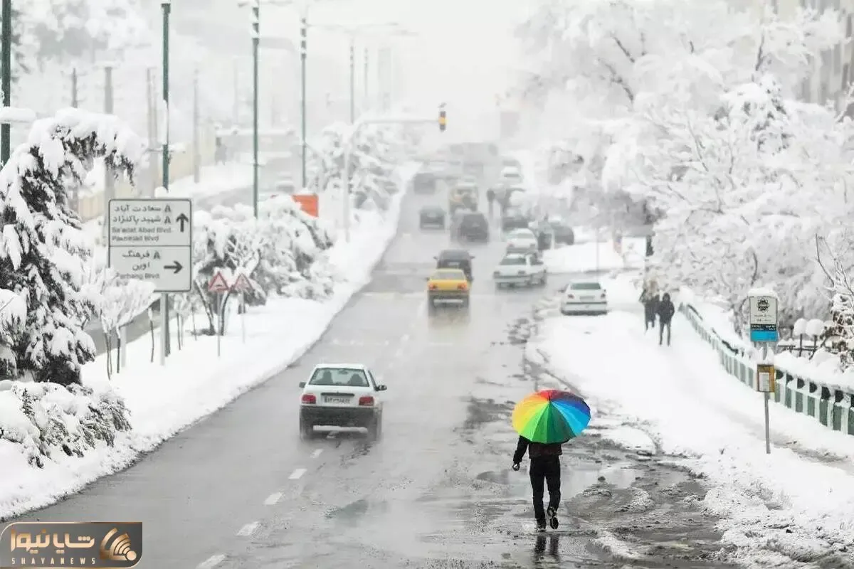 برف در مشهد قربانی گرفت + جزئیات