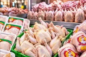 قیمت مرغ امروز یکشنبه 29 شهریور 1405 | فیله مرغ را چقدر بخریم؟