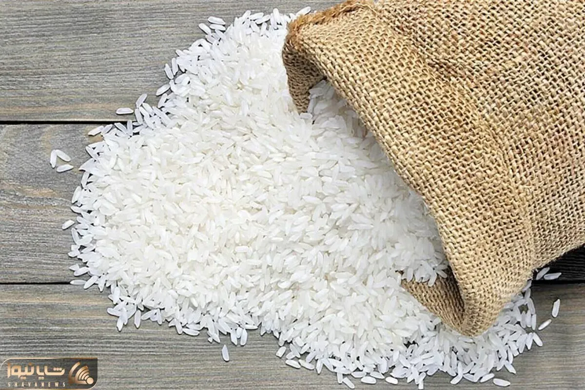 قیمت برنج ترمز برید
