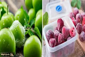 میخوای تو تمام فصول گوجه سبز و توت فرنگی تازه داشته باشی؟/ ترفند فریز کردن این دلبرها