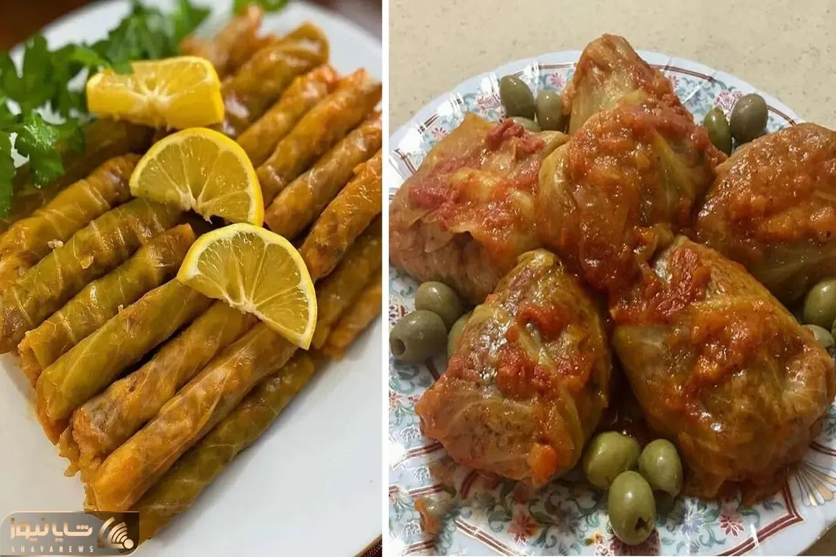 دلمه کلم برگ با بهترین دستور پخت / طعم فوق العاده ای که حتما خوشت میاد