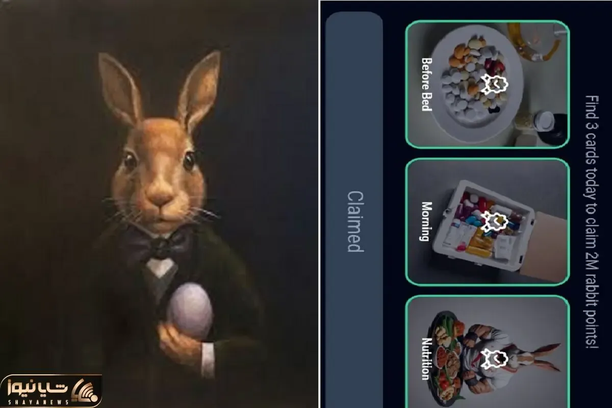 کارت های راکی رابیت (rocky rabbit) امروز سه شنبه 27 شهریور + آموزش وارد کردن