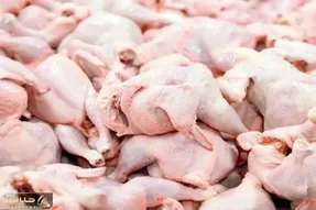 قیمت مرغ امروز چهارشنبه ۳۰ اردیبهشت ۱۴۰۵ + جدول