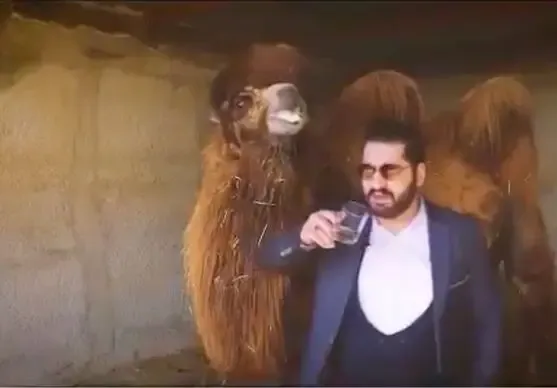 (عکس و فیلم) مهدی سبیلی و نوشیدن ادرار شتر، تازه‌ترین تجویز برای درمان کرونا
