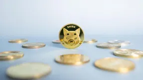 گلاویز شدن شیبا اینو با تمامی ارزها حقیقت دارد؟