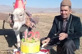آواز مسخره؛ چوپان تم زده برای الاغش تولد 120 سالگی گرفته و براش میخونه شمع فوت کردنشو