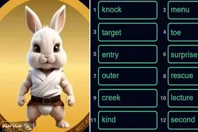 کارت های راکی رابیت (rocky rabbit) امروز یک شنبه 25 شهریور + آموزش وارد کردن