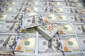 قیمت دلار امروز 6 مهر 1404 / سناریوهای پیش رو با فعال شدن اسنپ بک