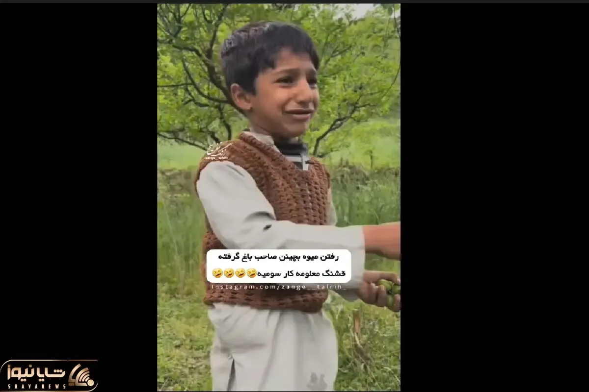 سکانس خندان/بچه ها رفتن قایمکی میوه بچینند صاحب باغ گرفتشون/حالا دارن همیدگرو لو میدن