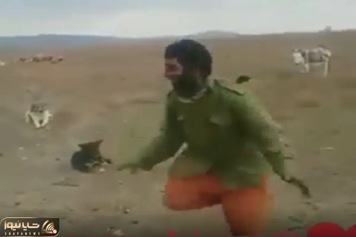 آواز شاد؛ چوپان سرخوش تو بیابون رقص شلنگ تخته ای کرد سگای گله رو پوکر فیس نگاش میکنن
