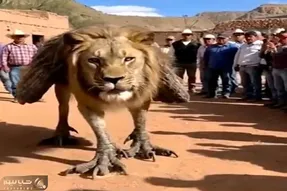 معماری طبیعت؛ شیر آزمایشگاهی عجیب الخلقه درست کردن خودشون کرک و پرشون ریخته