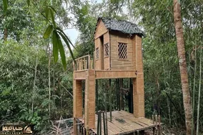 معماری خلاقانه؛ این آقا تو جنگل با چوب بامبو واسه خودش خونه اعیونی ساخته پارکینگم داره