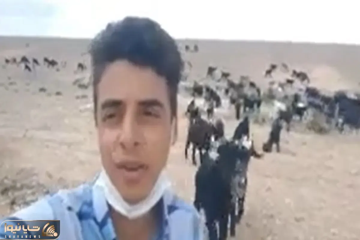 آواز احساسی؛پسر چوپان وسط دشت و صحرا یطوری آهنگ شجریان رو خوند که جاش رو استیج کنسرته