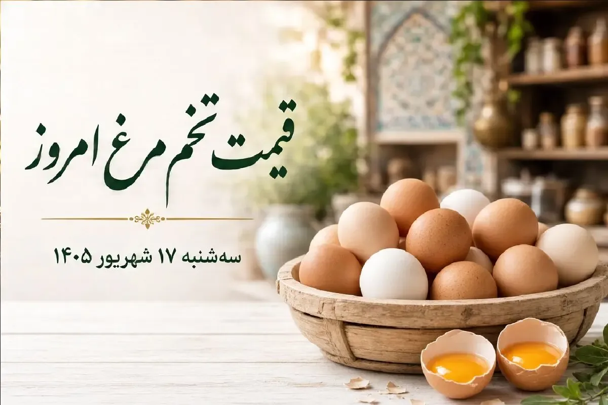 قیمت تخم مرغ امروز سه شنبه 17 شهریور 1405؛ یک شانه گران‌ تر از دستمزد کارگر!