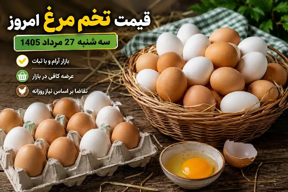 قیمت تخم مرغ امروز سه‌ شنبه 27 مرداد 1405 / تخم مرغ در یک سال چقدر گران شد؟