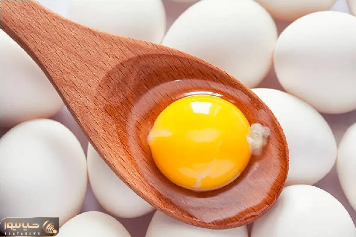 قیمت تخم‌مرغ امروز یکشنبه ۲۴ خرداد ۱۴۰۵