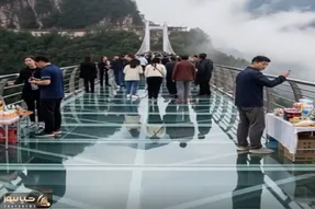 معماری طبیعت؛ بیچاره ها آخرین صحنه ی عمرشون رو دیدن