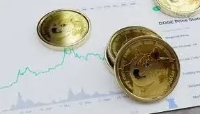 دوج کوین سیاه بخت شد؟