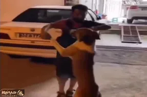 آواز شاد؛ مرد تعمیرکار محض خنده با سگ تانگو رقصید ولی سگه خیلی جدی گرفته قشنگ تو نقشه