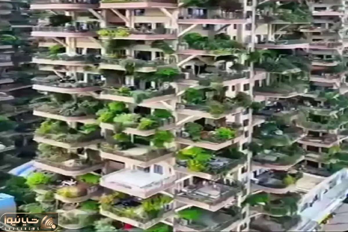 معماری خلاقانه؛ ساختمون های درختی ساختن اکسیژن شهر دستشونه مردمم انگار کلا تو شمالن