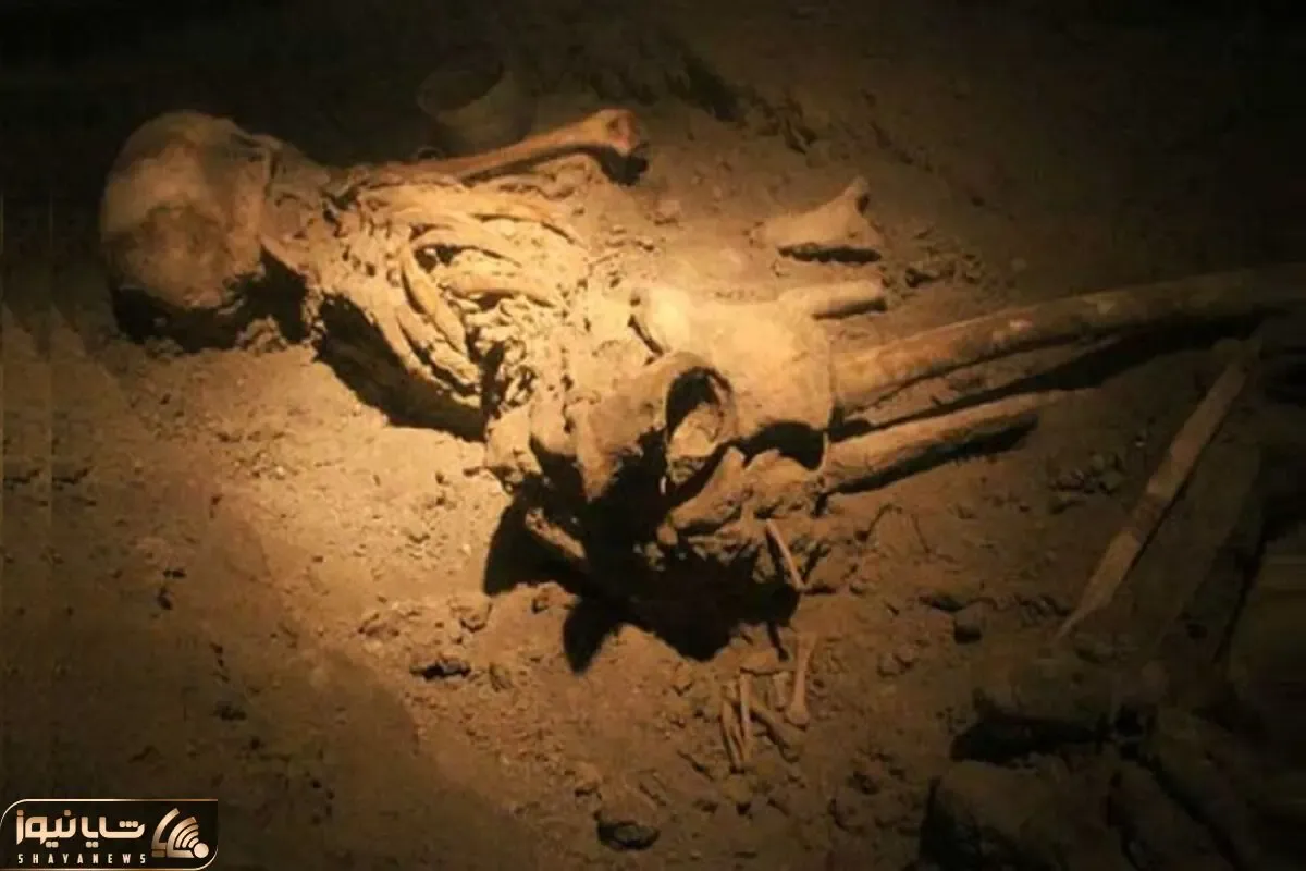 رموز کهن؛ باستان شناسان گور انسانهای نخستین را کشف کردند؛آنچه که دیدند باورکردنی نیست