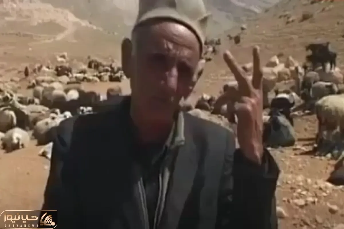 آواز محلی؛ آهنگ خوندن پیرمرد چوپان واسه 1 میلیون گوسفندش که دشتو سیاه کردن انقد زیادن