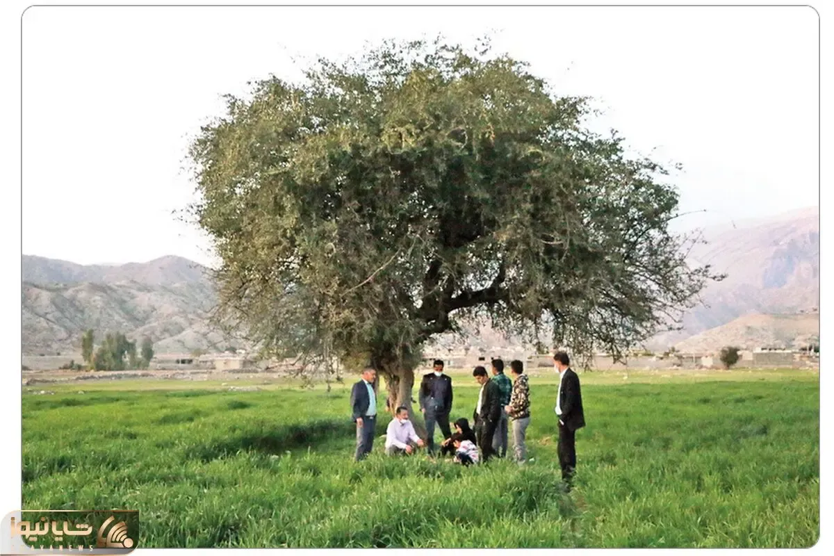 وضعیت روستای مال‌ملا دو سال پس از سقوط بورس