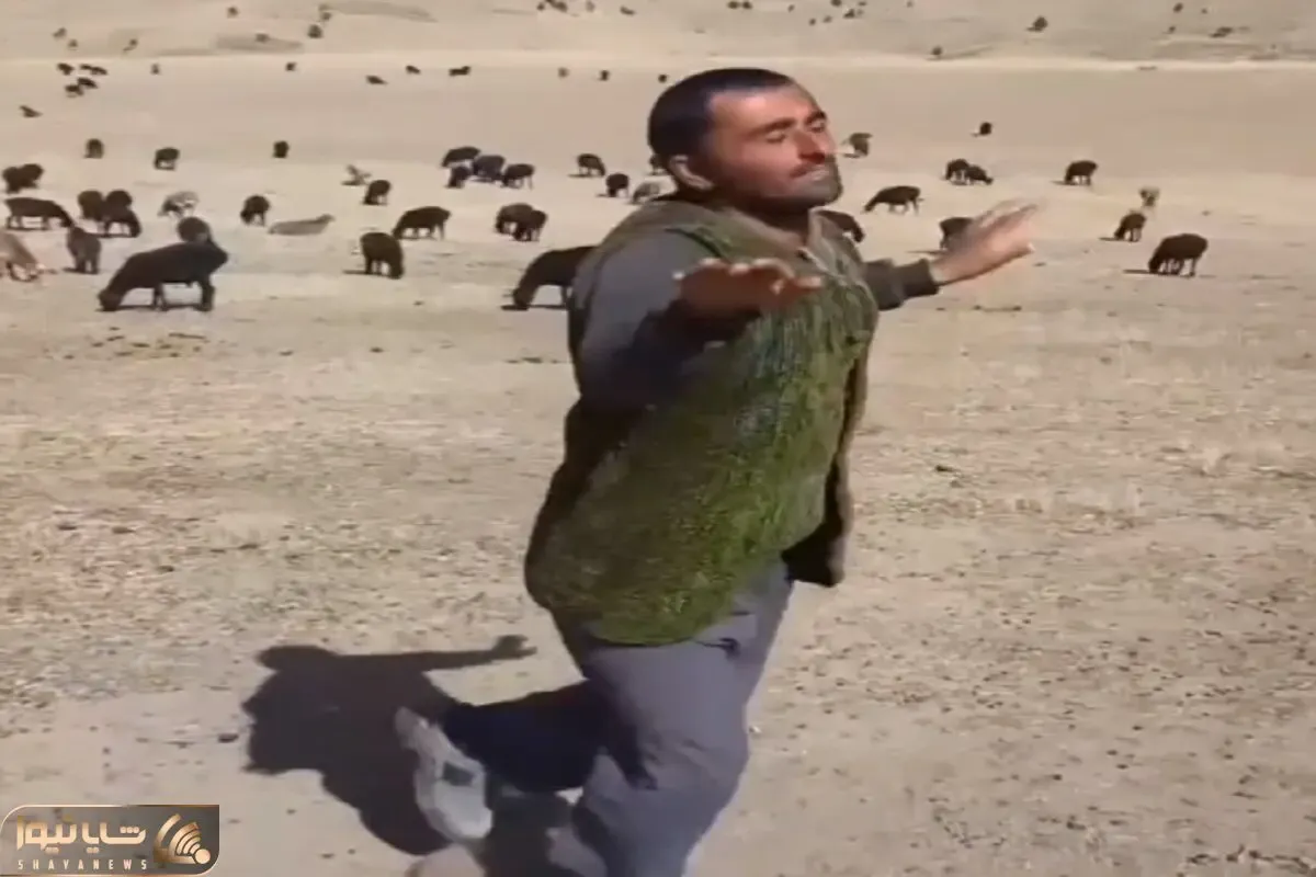 آواز شاد؛ چوپان زد به سرش تو صحرا رقص لرزون رفت گوسفندا مغزشون ارور داد خشکشون زده