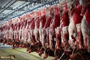 (جدول) قیمت دام زنده امروز ۲۹ مهر ۱۴۰۳/ واردات گوشت گرم و منجمد به ۷۵ هزار تن رسید