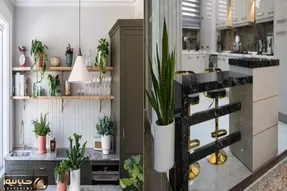گیاهان مناسب برای آشپزخانه/ گیاهان باحال برای آشپزخونه های کم جای خانمای های لول