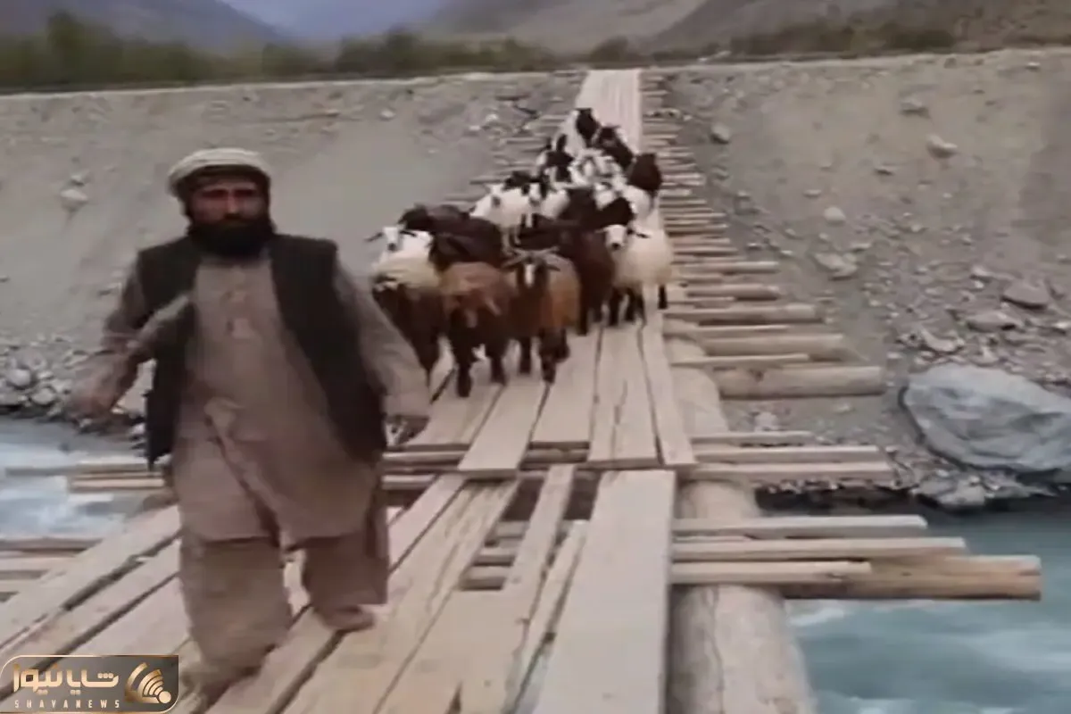 معماری طبیعت؛ چوپان از شکم مادر شانس نیاوورد آخه این چه اتفاقی بود که براش افتاد