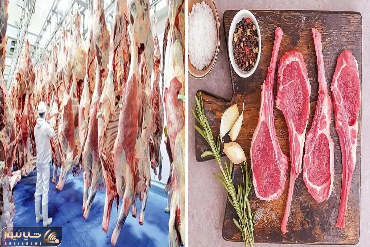 قیمت گوشت قرمز امروز ۱۷ اردیبهشت ۱۴۰۵