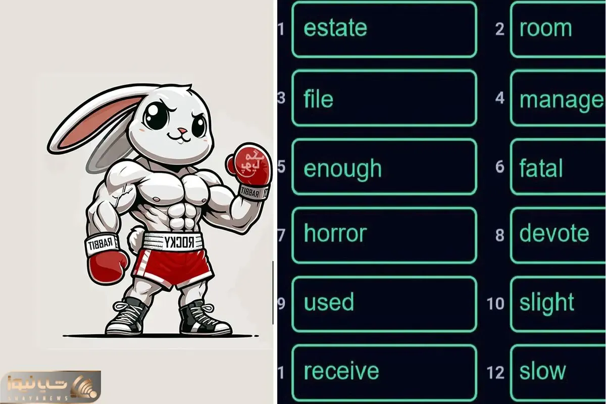 کد انیگما راکی رابیت (rocky rabbit) امروز دوشنبه 26 شهریور + آموزش وارد کردن