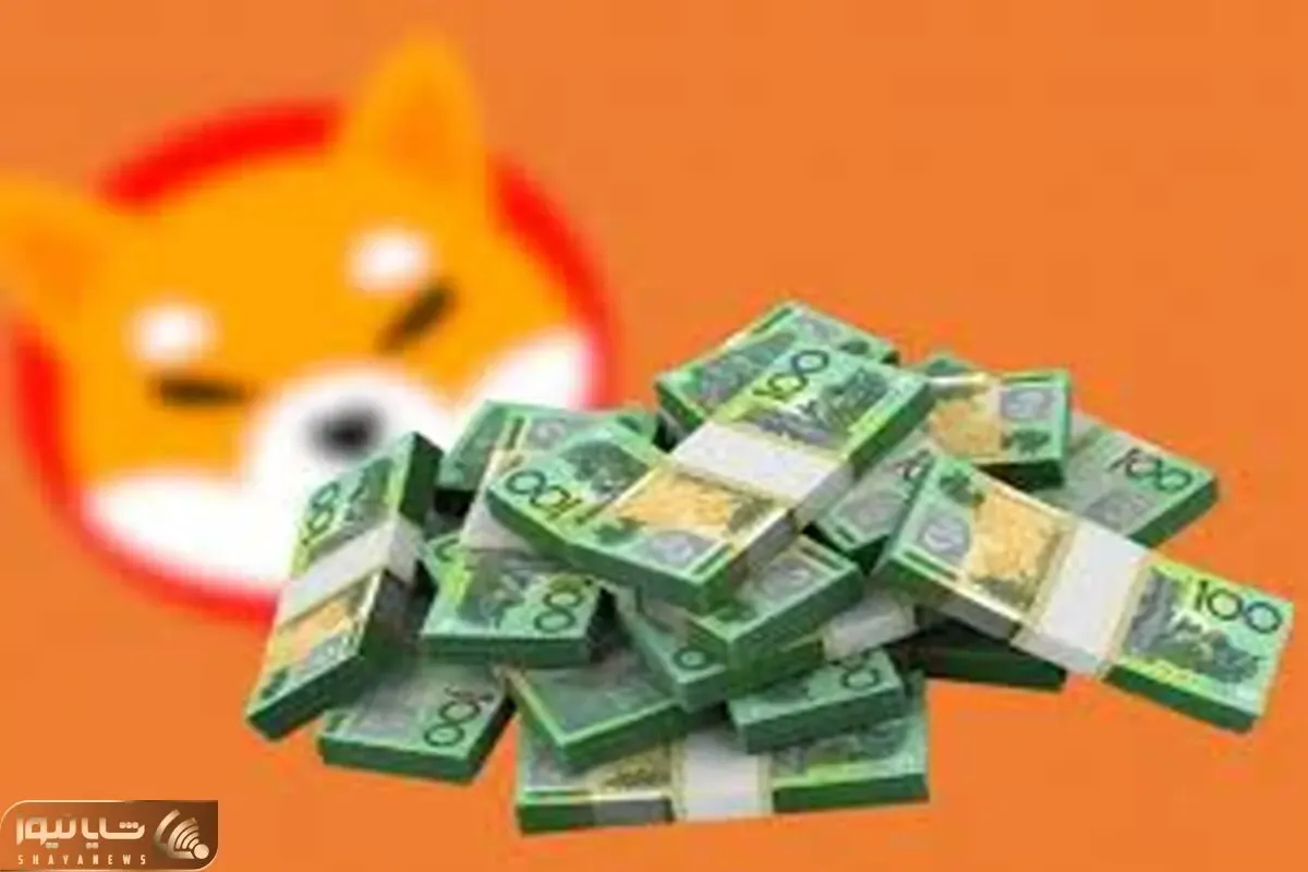 پیش بینی جنجال برانگیز قیمت شیبااینو!!
