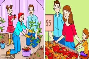 بازی فکری؛ اگه شوماخر باهوشایی بگو کدوم از این خانواده ها فقیرن؟