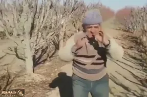 آواز روستایی؛ پیر عشایری چه نفسی داره تو زمین میرقصه میپره بالا پایین