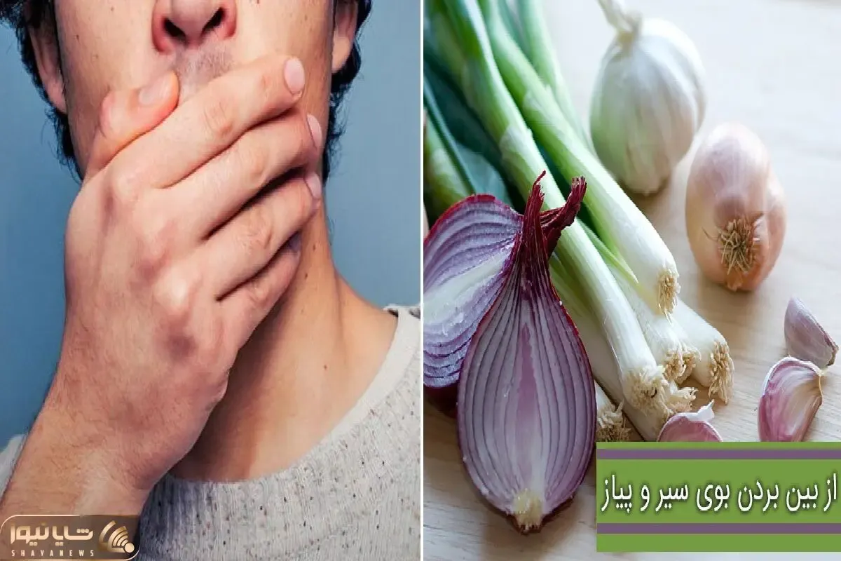بردن فوری بوی پیاز از دهان / اصن غذایی که کنارش این بزرگوار نباشه مزه نمیده بزن تو رگ