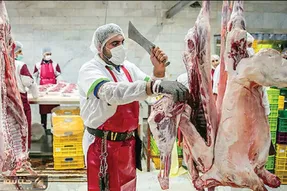 (جدول) قیمت دام زنده امروز چهارشنبه 28 شهریور