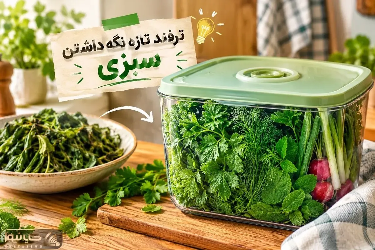 ترفند تازه نگه داشتن سبزی تا 1 هفته بدون پلاسیدگی و لزج شدن؛ فوت و فن لازم هر کدبانو