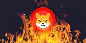 آتش بازی جنجال برانگیزشیبااینو!