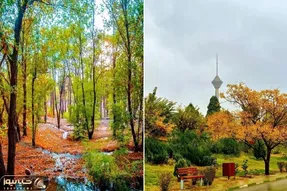 بهترین پارک های تهران که باید تو پاییز ببینیشون؛ صدای شرشر آب و خش خش برگا باهم اینجا
