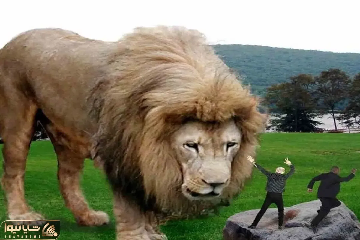 حیوانات غول جثه؛ سلطان جنگل به این میگن لامصب هرکولم گذاشته تو جیبش!