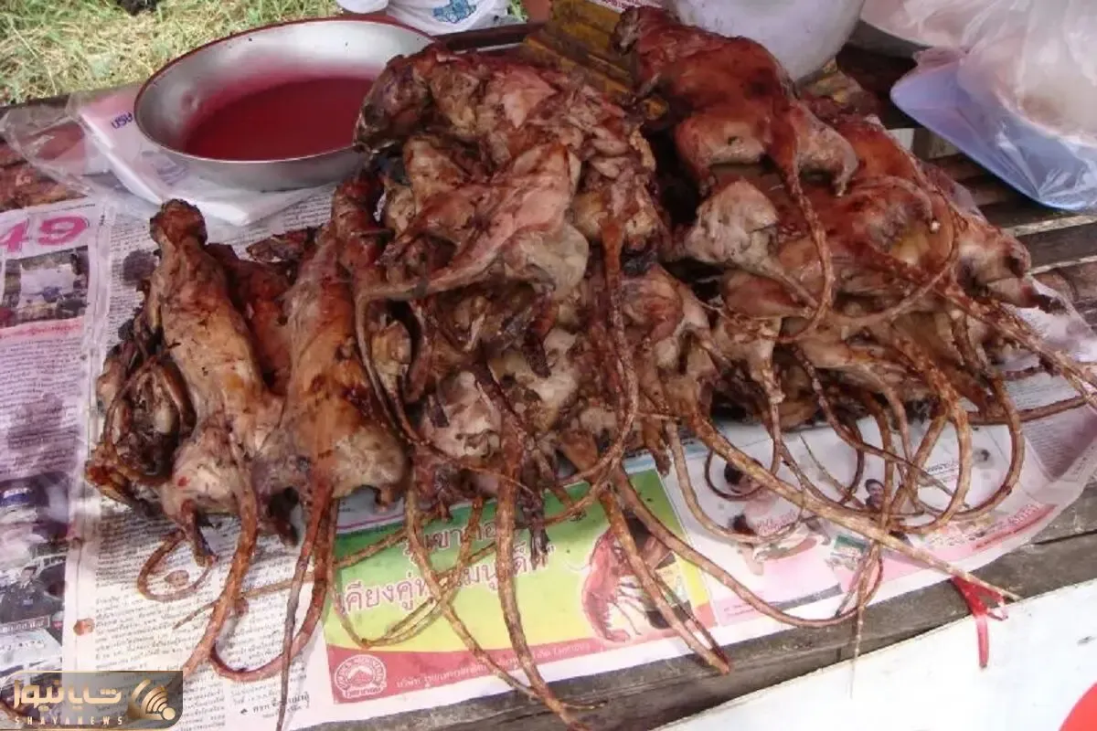 طرز تهیه 