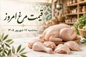 قیمت مرغ گرم امروز سه‌ شنبه 17 شهریور 1405 / افزایش قیمت