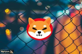 قیمت شیبااینودرچه صورت 2برابر میشود؟!