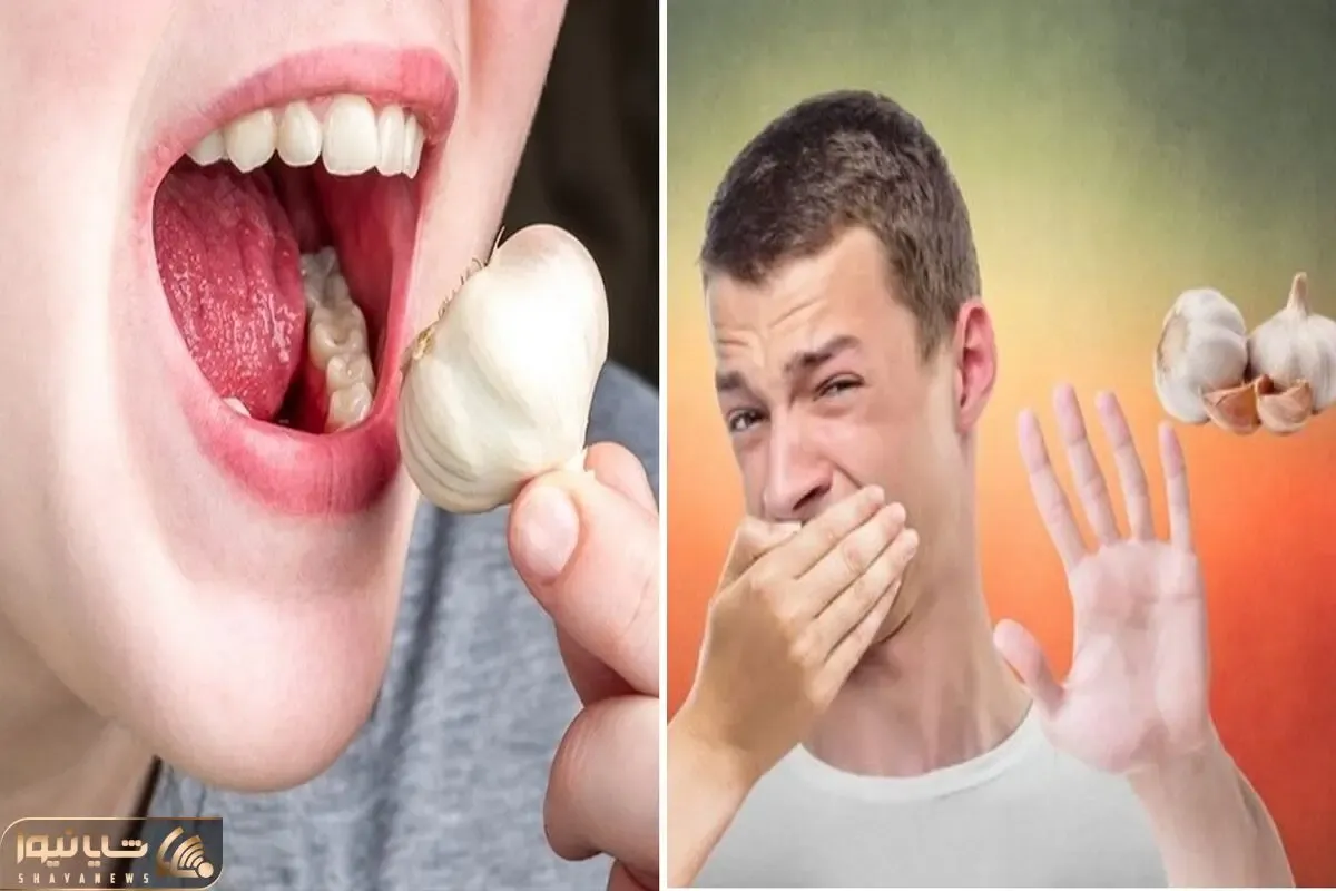 ترفندای از بین بردن بوی سیر از دهان و دست / اینجوری خیلی راحت از شر بوی بدش خلاص میشی