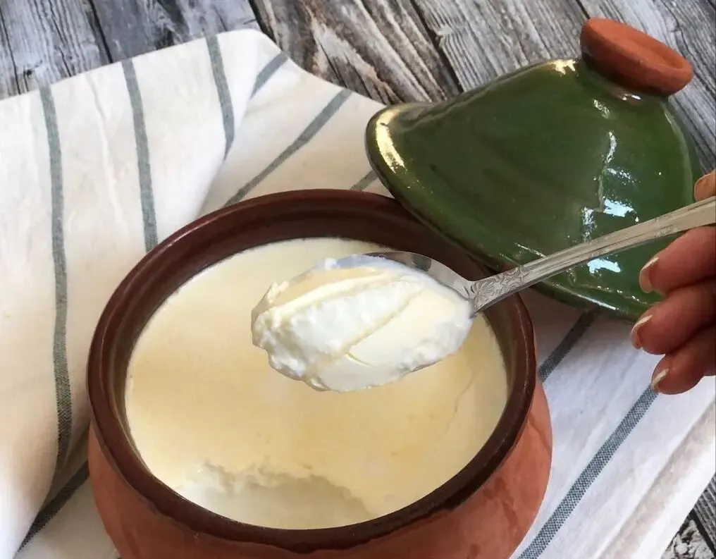 طرز تهیه ماست خانگی؛ فوت و فن های درست کردن یه ماست سفت و خوشمزه