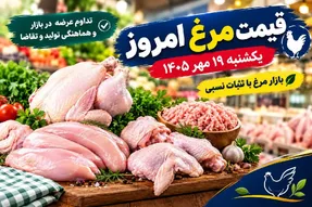 قیمت مرغ امروز یکشنبه 19 مهر 1405 + جدول
