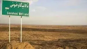 ۹۸درصد از تالاب بین‌المللی گاوخونی خشک شد