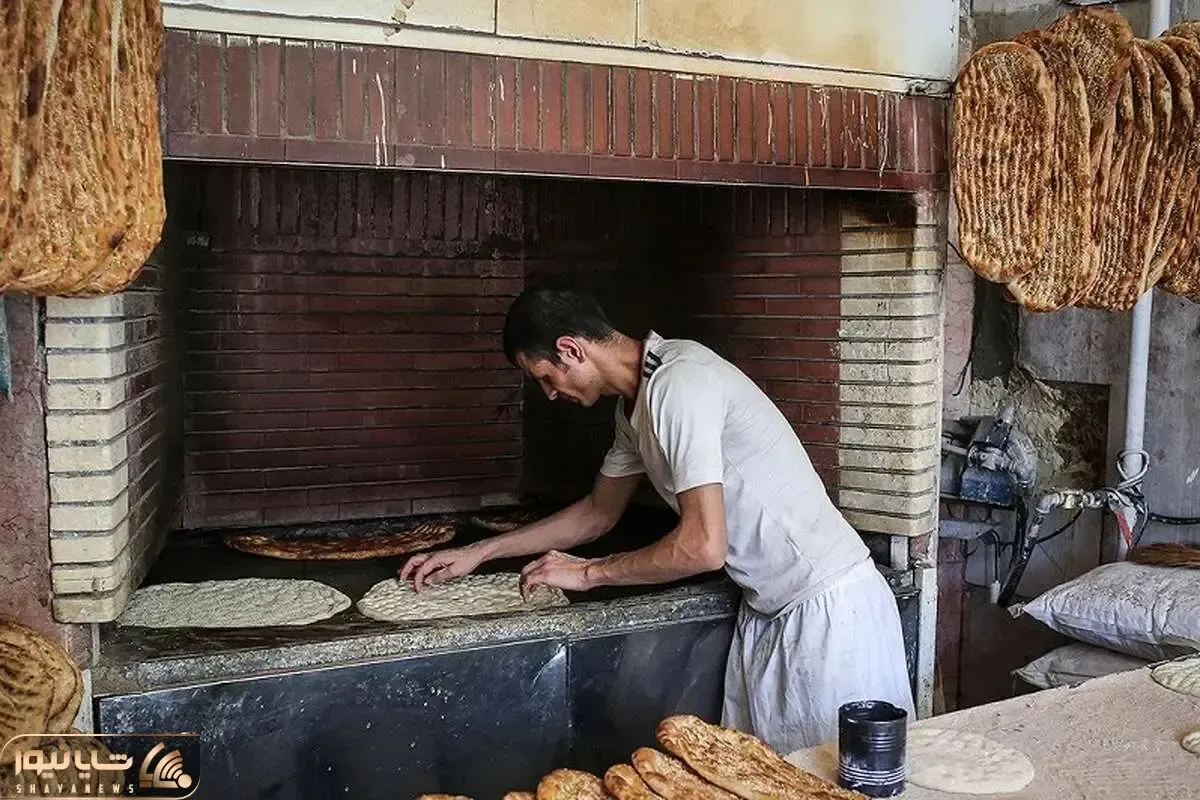 نان رسما گران شد؛ قیمت جدید بربری چند؟‌